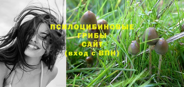 индика Алзамай