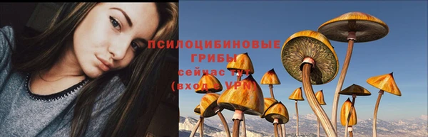 индика Алзамай