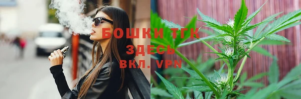 бошки Алексин