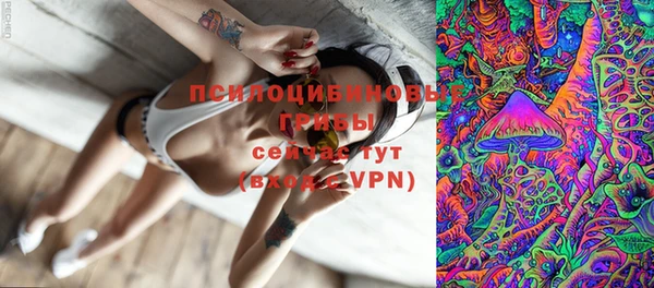 ПСИЛОЦИБИНОВЫЕ ГРИБЫ Алексеевка