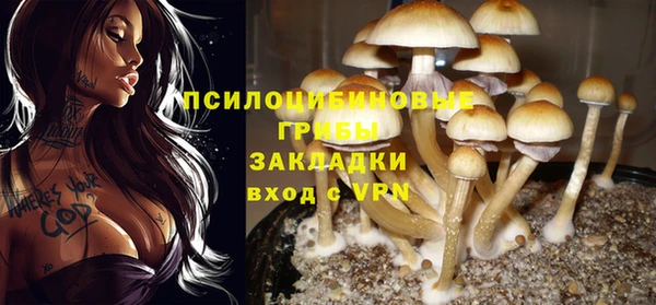бошки Алексин