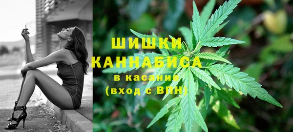 индика Алзамай