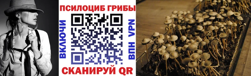 Галлюциногенные грибы Magic Shrooms  наркотики  Артём 